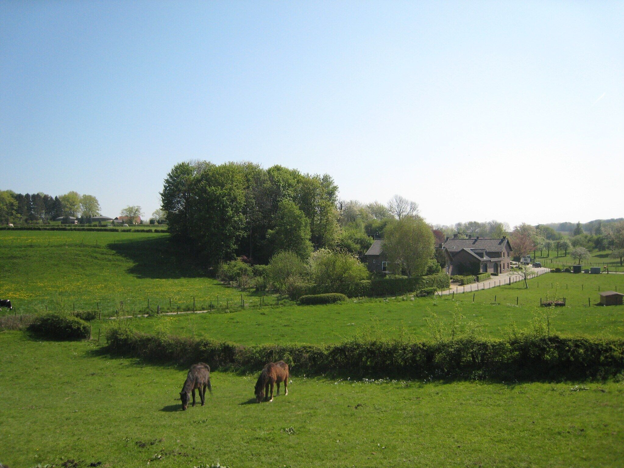 Direkte Umgebung [Sommer] (<1 km)