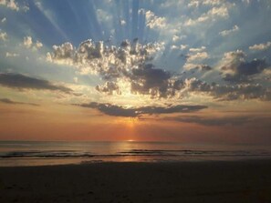 Tæt på stranden