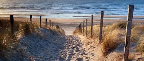Plage à proximité