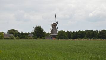 Eine Windmühle in einem Feld, im Hintergrund Häuser.