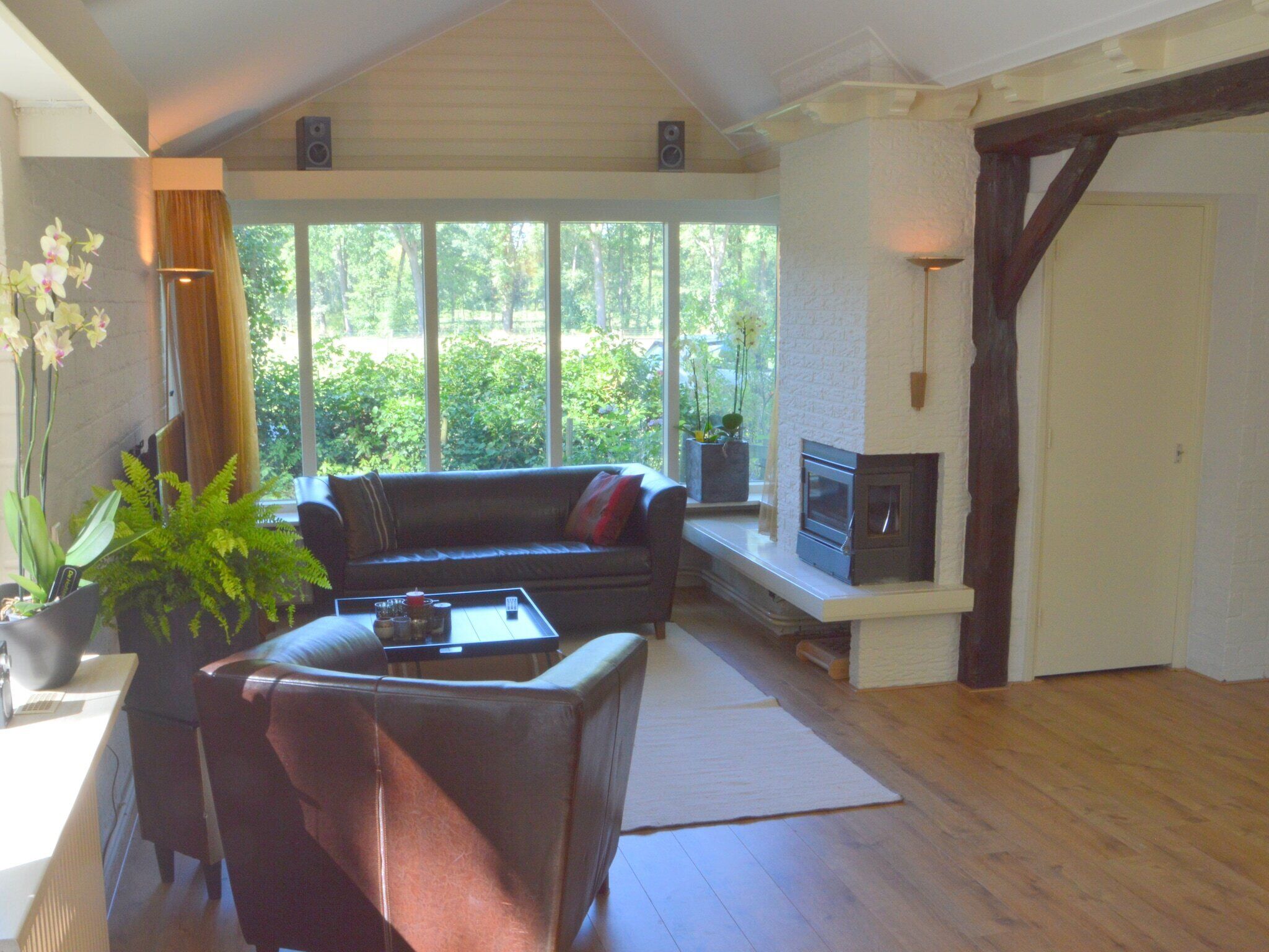 TV, fireplace, DVD player