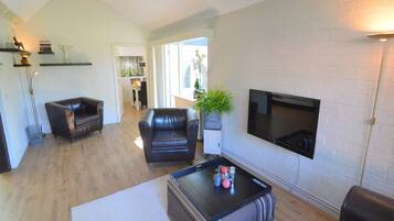 Fernseher, Kamin, DVD-Player