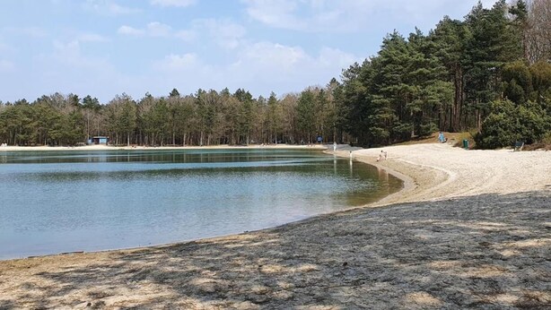 Una playa con un lago tranquilo, rodeada de un bosque denso.