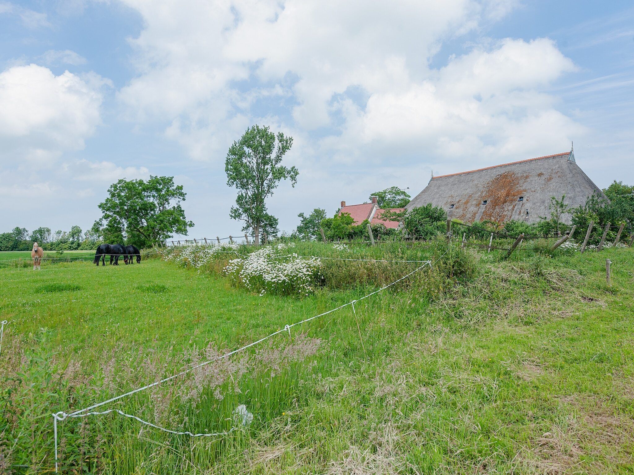 Un paysage rural avec une grande grange, des chevaux qui paissent et une personne debout dans le champ.