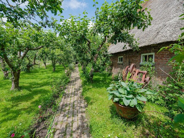 Property grounds - Farmhouse by Lauwers River with Rowing Boat (Burum)