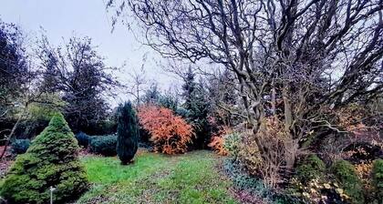Eifel Gartenvilla für Gruppen