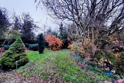 Eifel Garden Villa for Groups