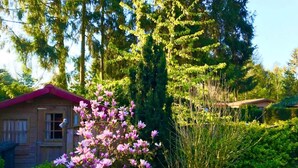 A wooden cabin with a red roof, surrounded by lush greenery and flowering trees.