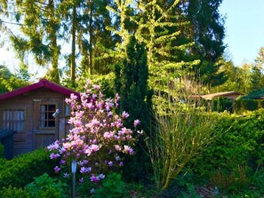 Property grounds - Chalet in Veluwe near De Grote Ark (Garderen)
