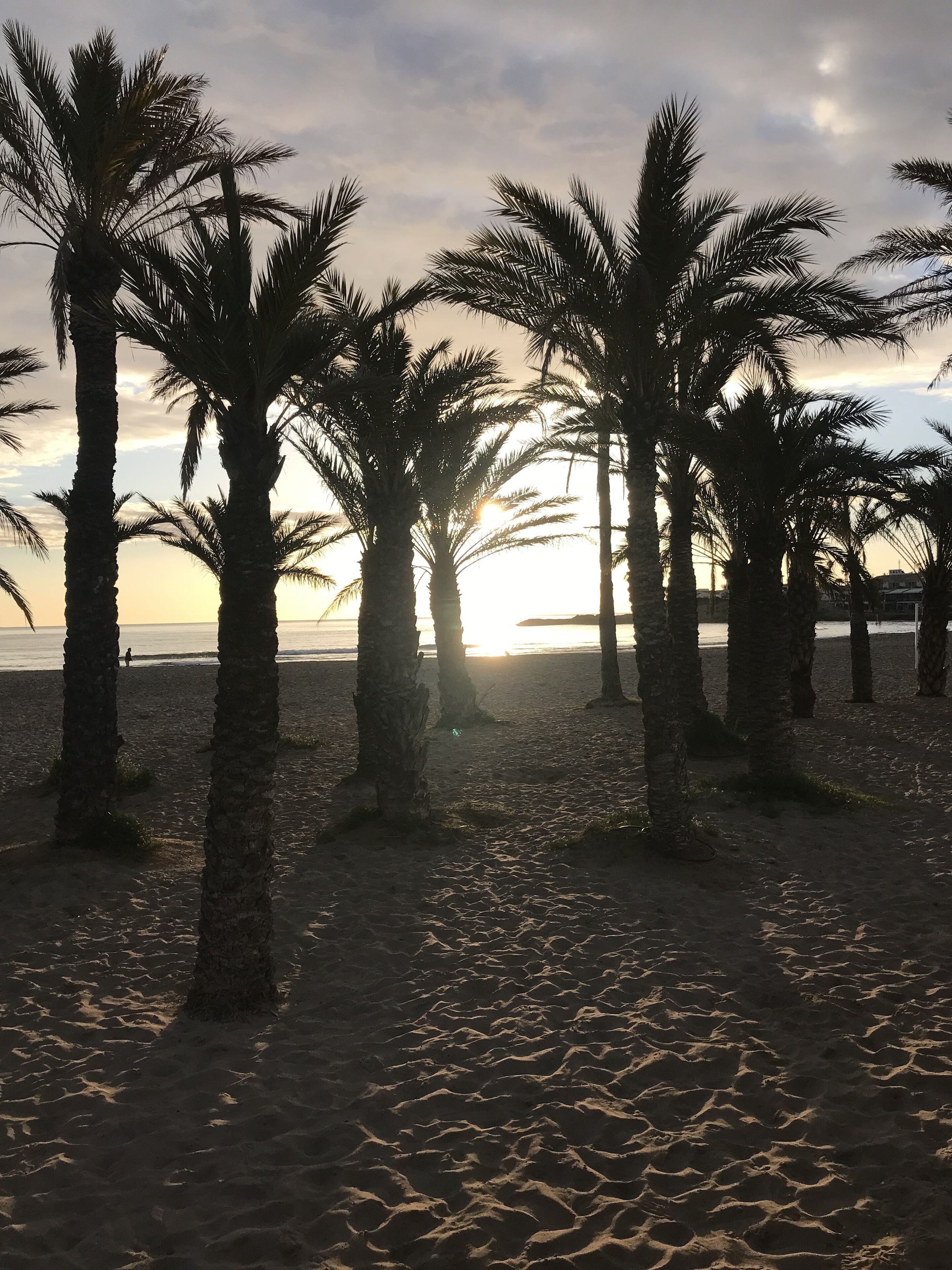 بالقرب من الشاطئ