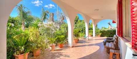 A covered outdoor area with potted plants, wooden benches, and a clear blue sky.