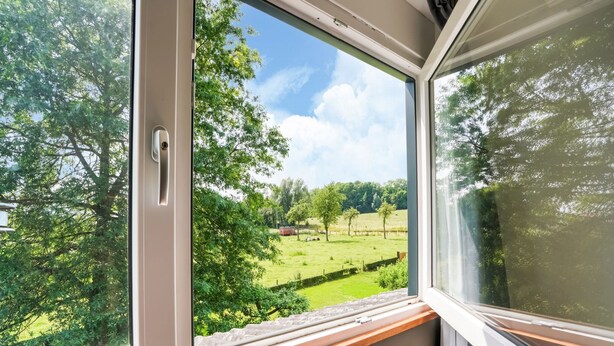 Ein Fenster mit Blick auf ein grünes Feld und Bäume.