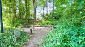 Ein bewaldetes Gebiet mit einem Picknicktisch und Bänken, umgeben von dichtem Grün und Bäumen.