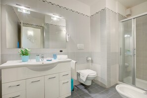 Shower, hair dryer, bidet, towels