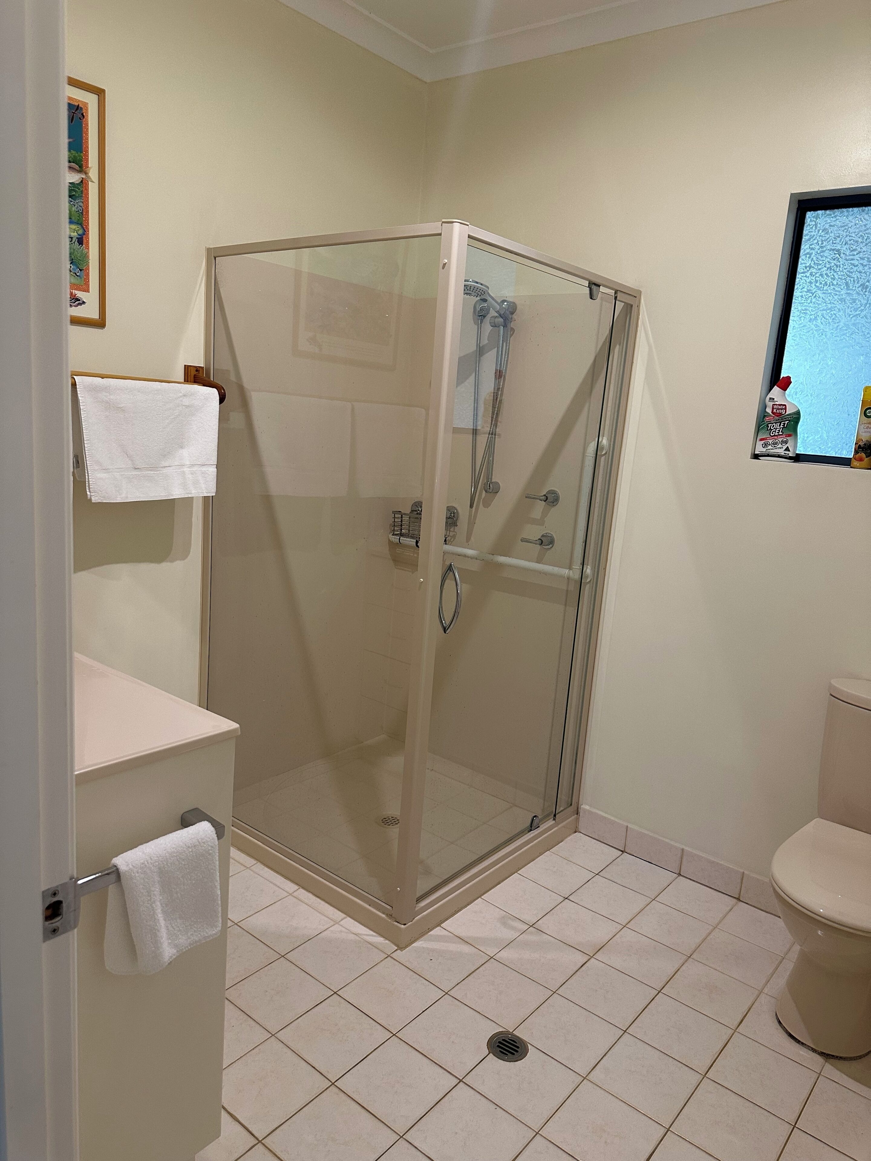 Dusche, Haartrockner, Handtücher, Seife