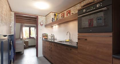 Elegant Holiday Home with Horssen with Terrace