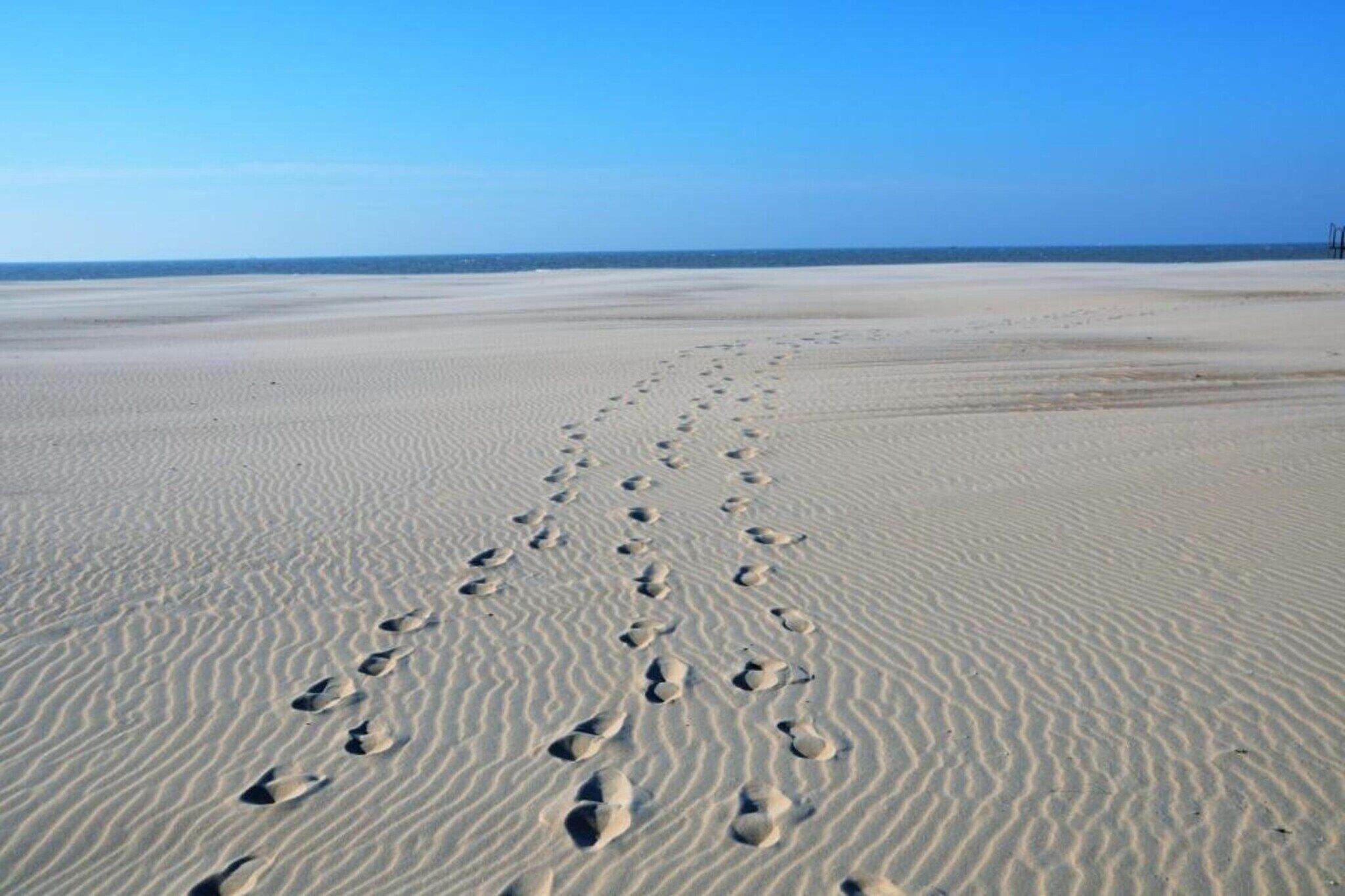 Une plage de sable où l’on peut voir des empreintes de pas qui mènent vers l’océan.