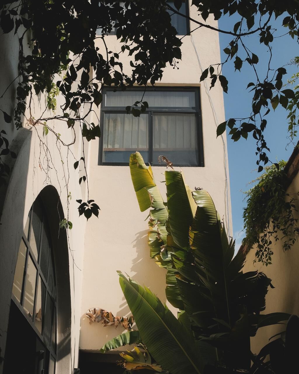 Photo - Casa Realm
