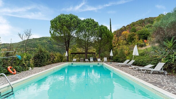 A rectangular swimming pool with a stone border, surrounded by lounge chairs and umbrellas, set against a backdrop of trees and hills.