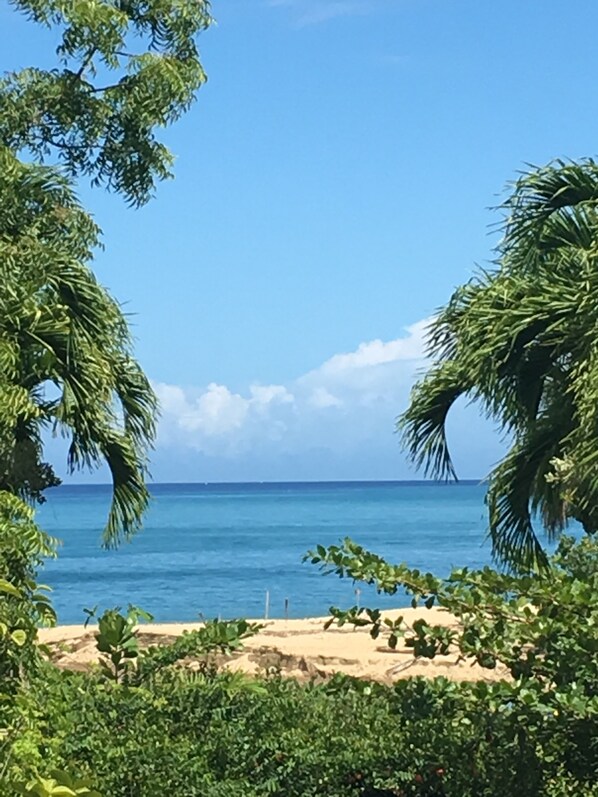 Beach nearby, sun loungers, beach towels