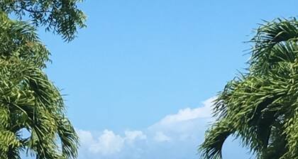 TURQUESA del MAR, private tropical oasis just steps to beach and town center!