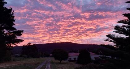 Watch the sunrise and set over the bay.
Peaceful, central & dog friendly.