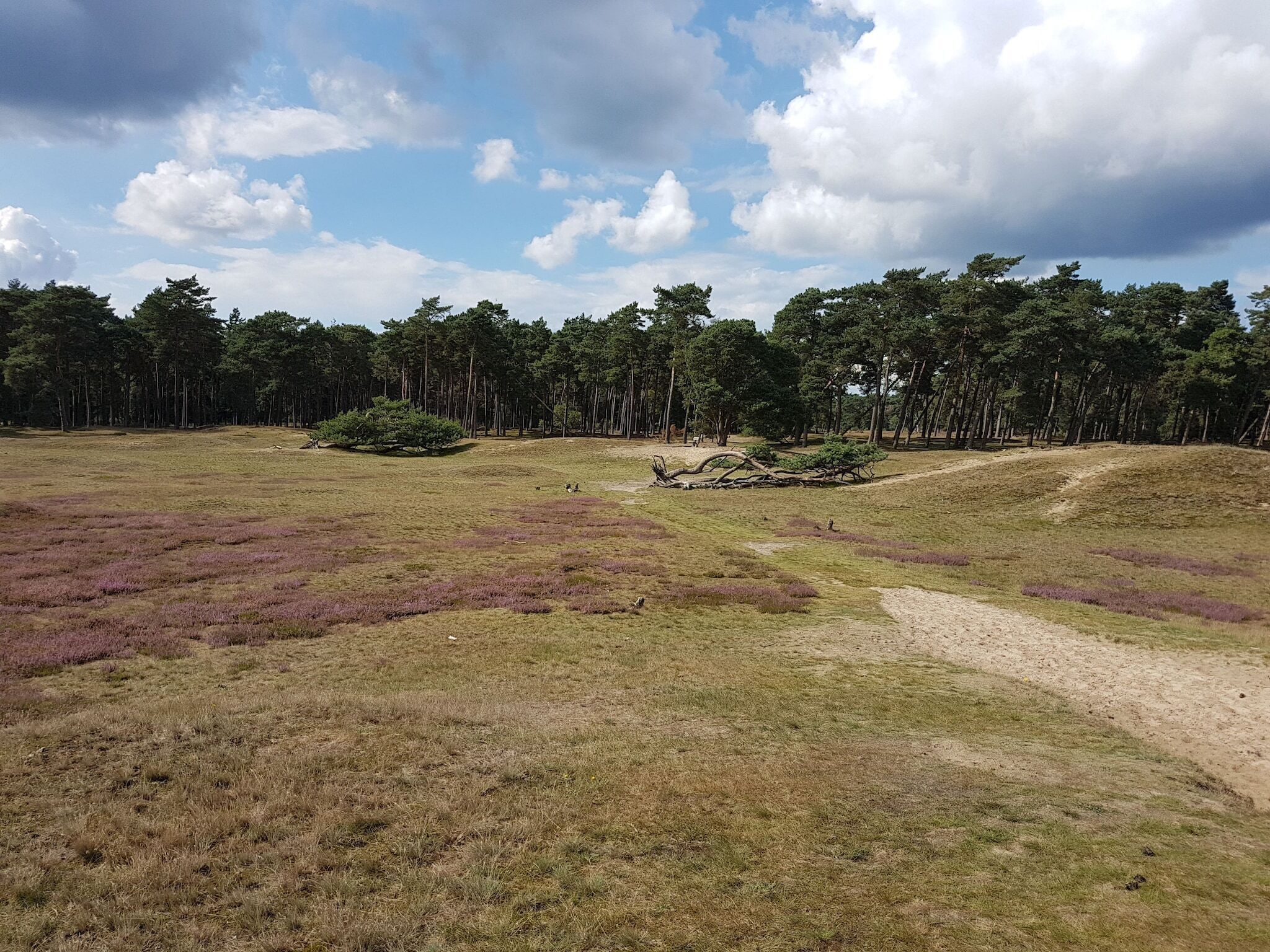 Direkte Umgebung [Sommer] (<1 km)