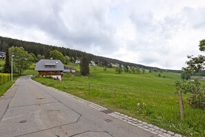 A rural road with houses on one side and a green field on the other.