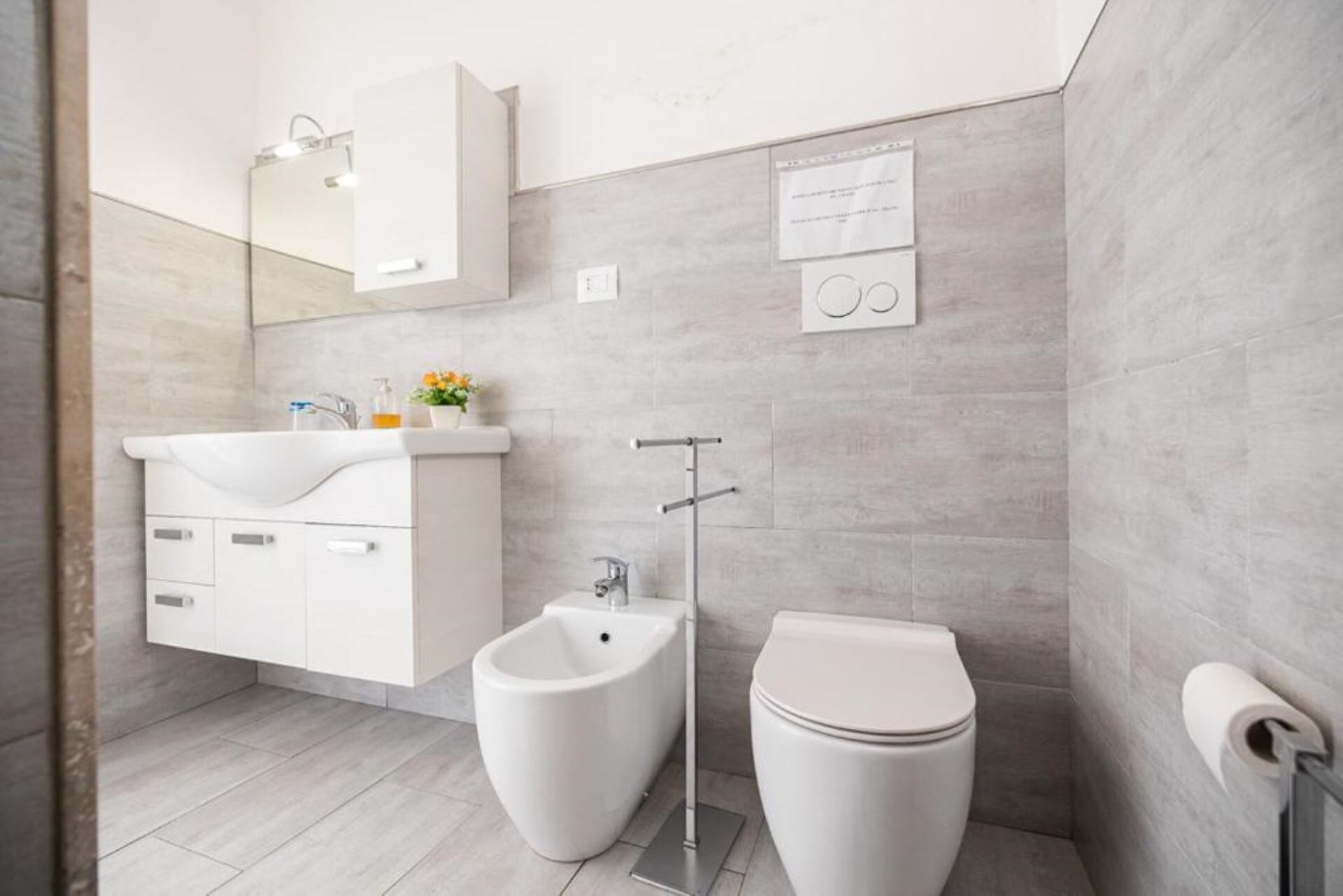 Shower, hair dryer, bidet