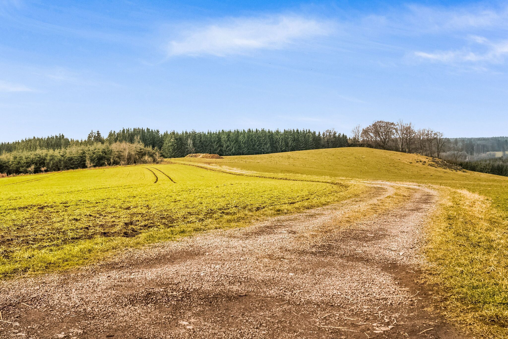 Paisagem rural com uma trilha de terra serpenteando por um campo gramado, cercada por árvores e um céu claro.