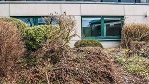 A modern building with a flat roof, large windows, and outdoor seating on the upper level. - Cottage in Vaux-sur-Sûre with garden (Vaux-sur-Sûre)