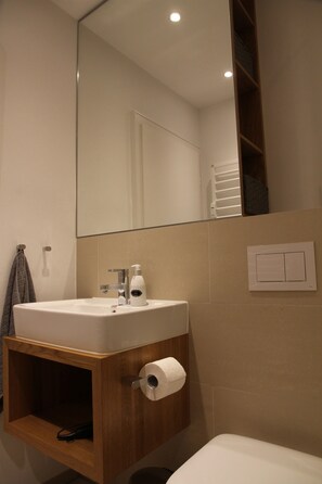 Shower, hair dryer, towels