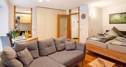 Studio 'Schwarzwaldnestle' avec vue sur la montagne, Wi-Fi et climatisation