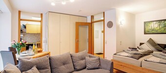 Studio Apartment 'Schwarzwaldnestle' with Mountain View, Wi-Fi and Air Conditioning