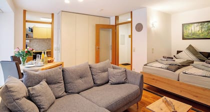 Studio 'Schwarzwaldnestle' avec vue sur la montagne, Wi-Fi et climatisation