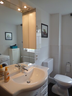 Shower, hair dryer