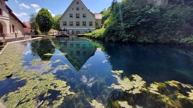 Een groot gebouw met een puntig dak, een weerspiegeling in een kalm wateroppervlak en begroening rondom.