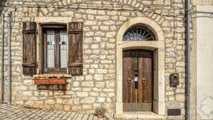 A stone building with a wooden door and window shutters, a cobblestone ground, and a small potted plant.