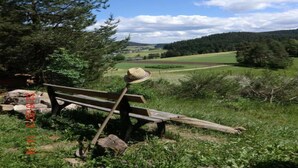 A bench in a natural setting with a view of a valley and forest. - Ferienwohnung in Lauterbach im Schwarzwald (Lauterbach)