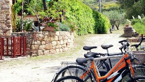Eine Steinsäule mit einem Metallgitter, ein Fahrrad davor abgestellt, und ein Steinhaus mit Grünpflanzen im Hintergrund.