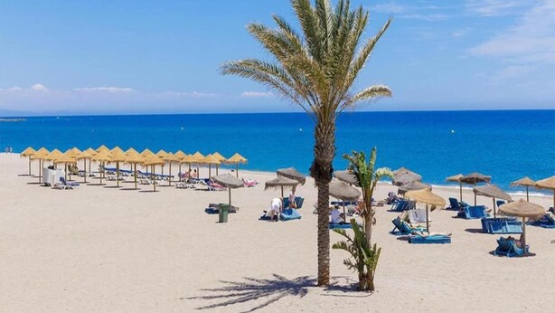 Ein Strand mit Palmen, Liegestühlen und Reetdachschirmen.