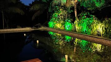 Muelles de madera que se adentran en aguas tranquilas, con el reflejo de follaje y palmeras.