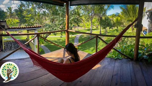 A hammock on a wooden deck overlooking a lush garden with palm trees. - Fazenda Eco Jardim (Una)