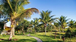 A tropical garden with palm trees and a stone pathway. - Fazenda Eco Jardim (Una)