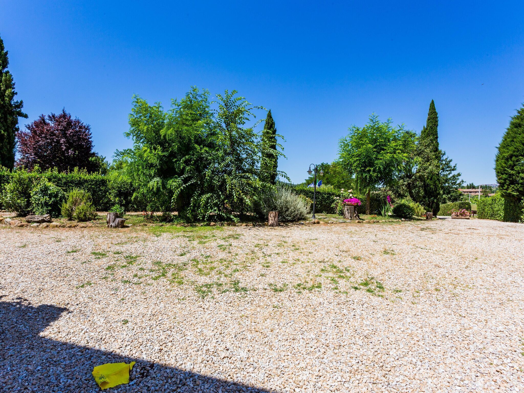 A gravel garden with various trees and shrubs, a wooden bench, and a lamp post.