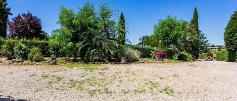 A gravel garden with various trees and shrubs, a wooden bench, and a lamp post.