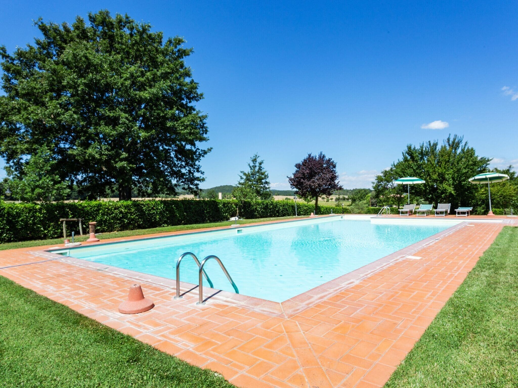 A rectangular swimming pool with a tiled deck, surrounded by grass and trees.