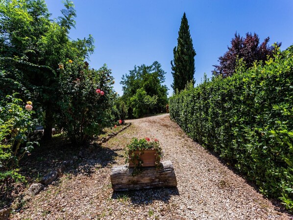 A gravel pathway flanked by lush greenery and flowering plants, leading towards a tall, slender tree.