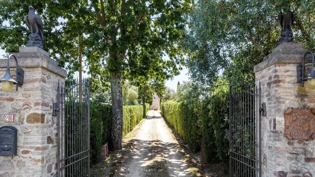 Un sendero de piedra conduce a una entrada porticada con una estatua en la parte superior, flanqueado por árboles y un seto.