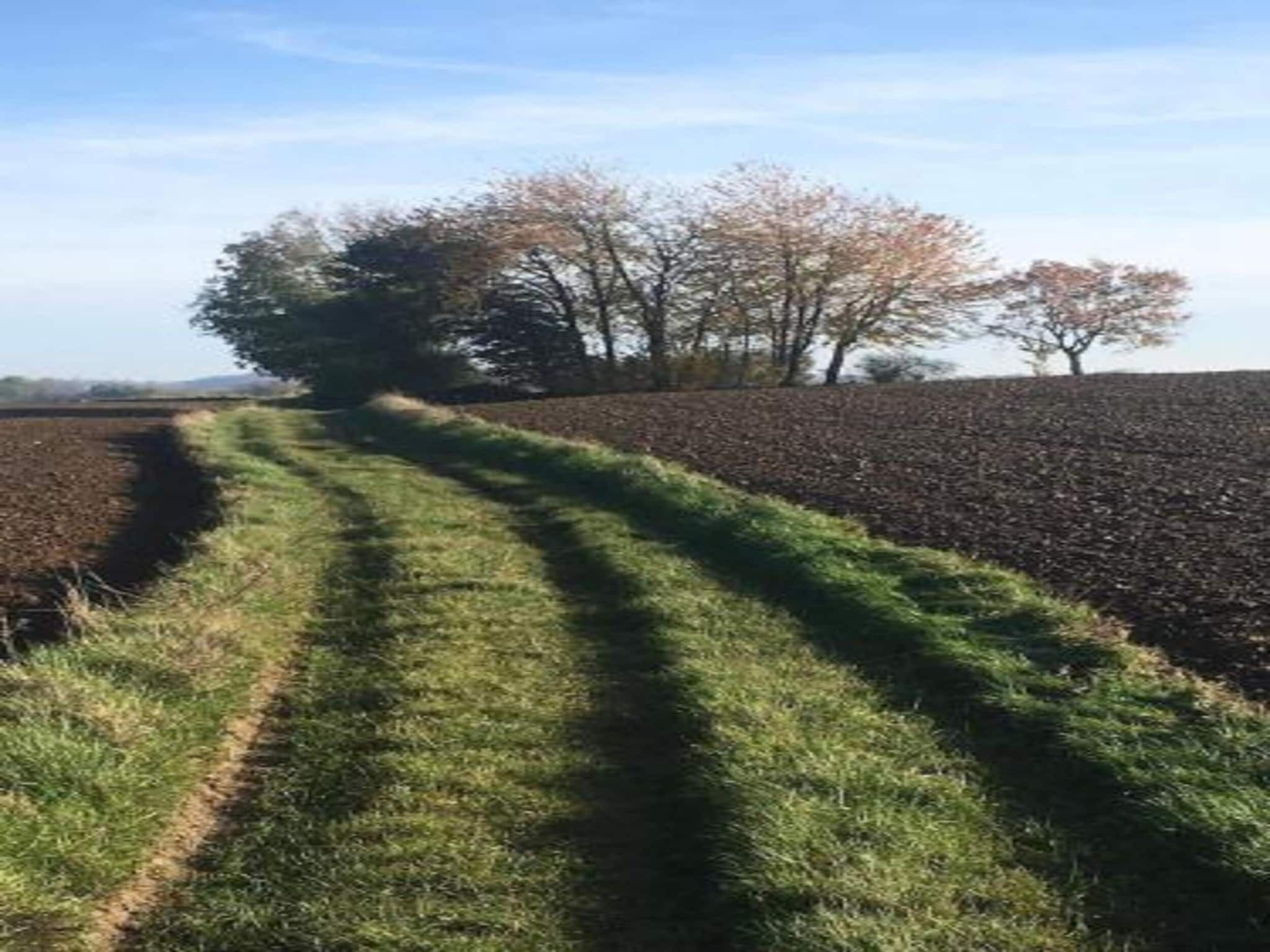 Dans la région [été] (>5 km)